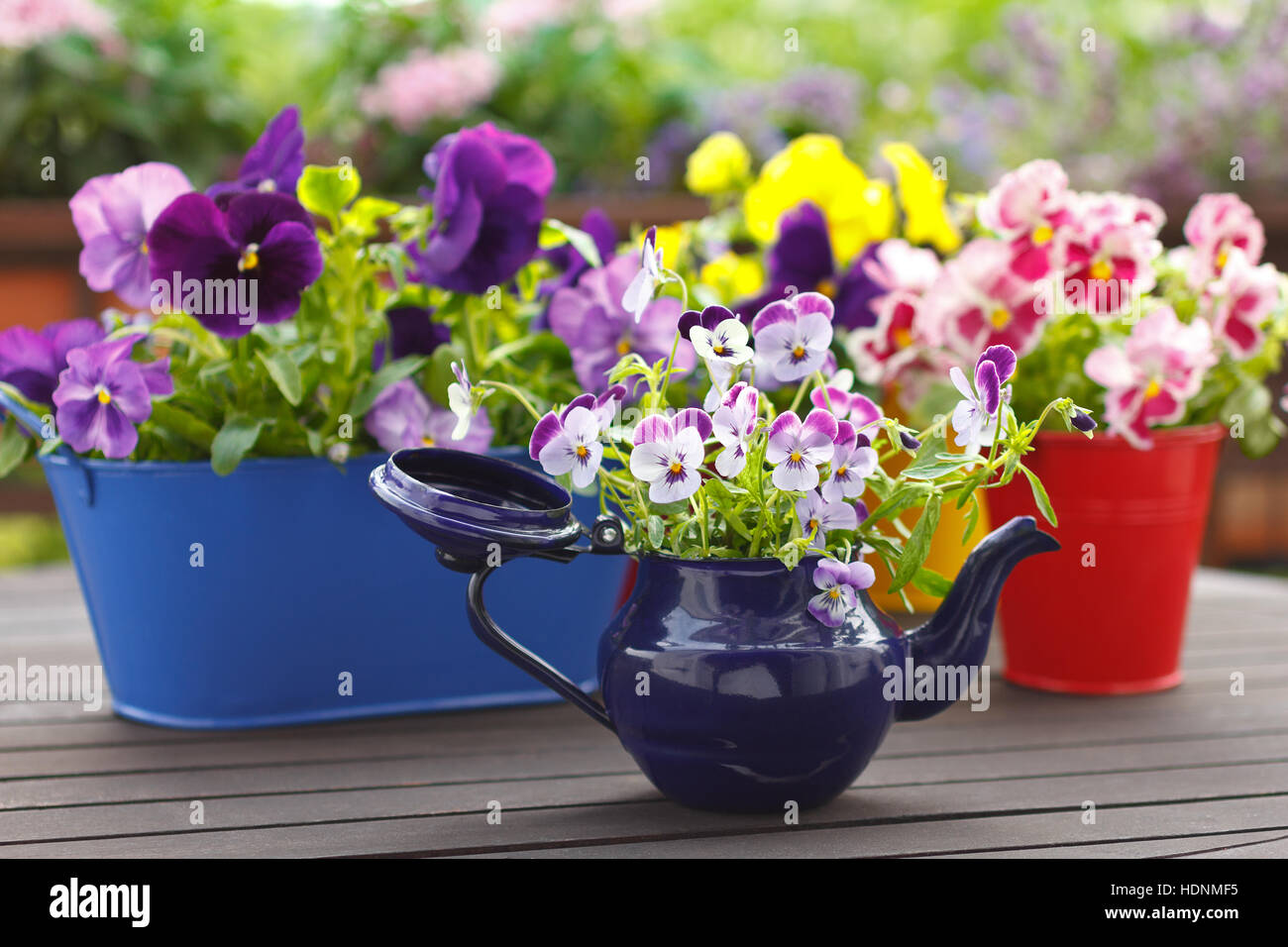 Purple, red and yellow pansy flowers in colorful pots and an old enamel jug on a balcony table, copy space, background Stock Photo