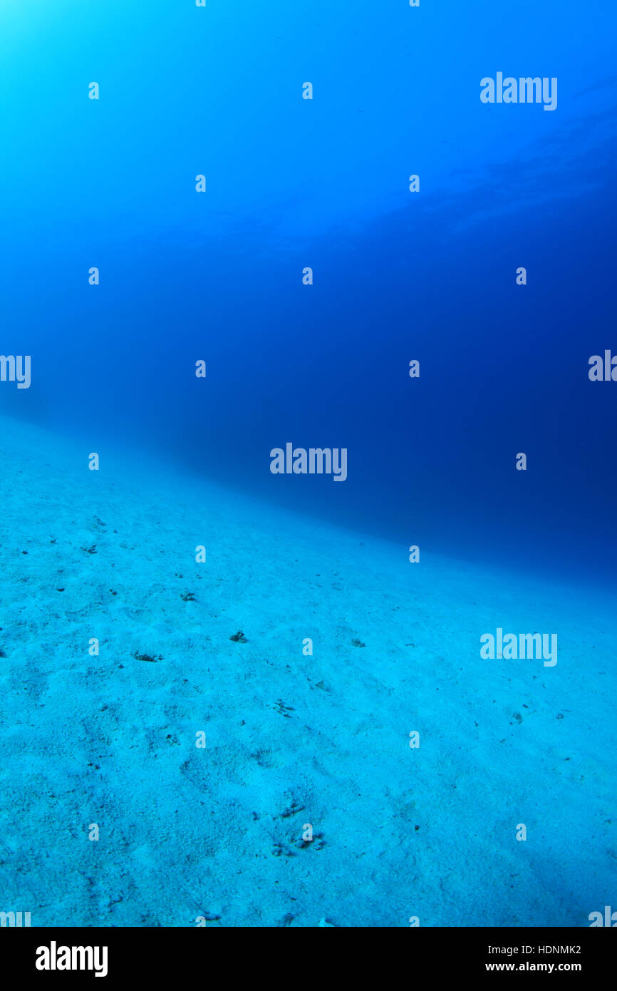 Deep Ocean Floor Stock Photos Deep Ocean Floor Stock