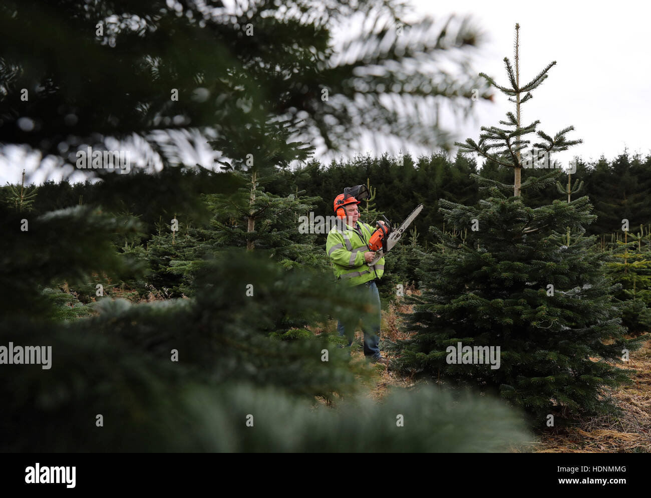 Head forester Bobby McKinstray of the Blair Drummond Estate near