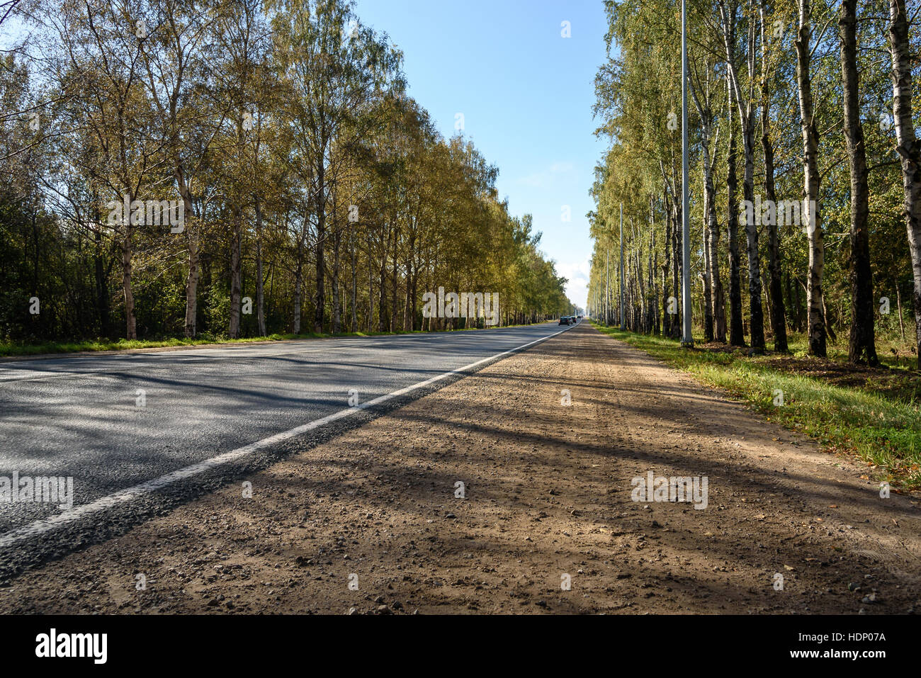 Paved road between green trees on the blue sky background Stock Photo