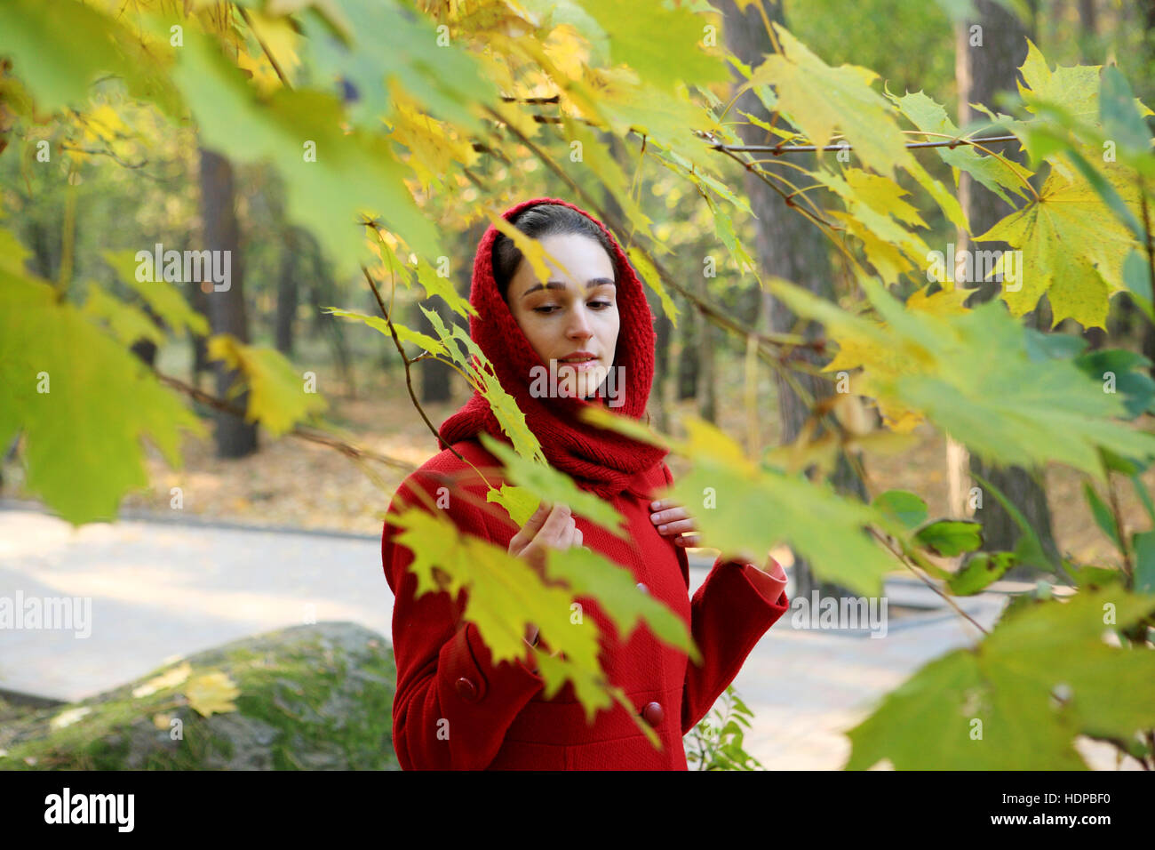 Beautiful young girl walking in autumn park Stock Photo - Alamy