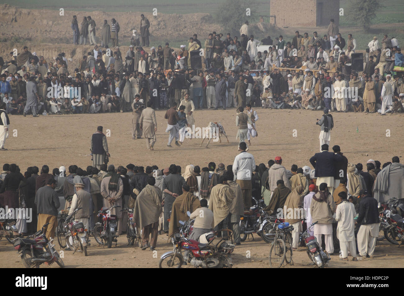 Villagers watch sheep fighting each other to annual sheep fighting festival in. The people and farmers round up their finest fighting sheep and gathered among friends to cheer on the creatures as they violently rammed into each other until their horns fell off. The “Small-Tail Han Sheep” known for their head-butting abilities, battled it out in front of hundreds of onlookers who were able to distinguish the animals by their drawn-on marks. The sheep were then divided according to age and weight in the single-elimination match. (Photo by Zubair Abbasi/Pacific Press) Stock Photo