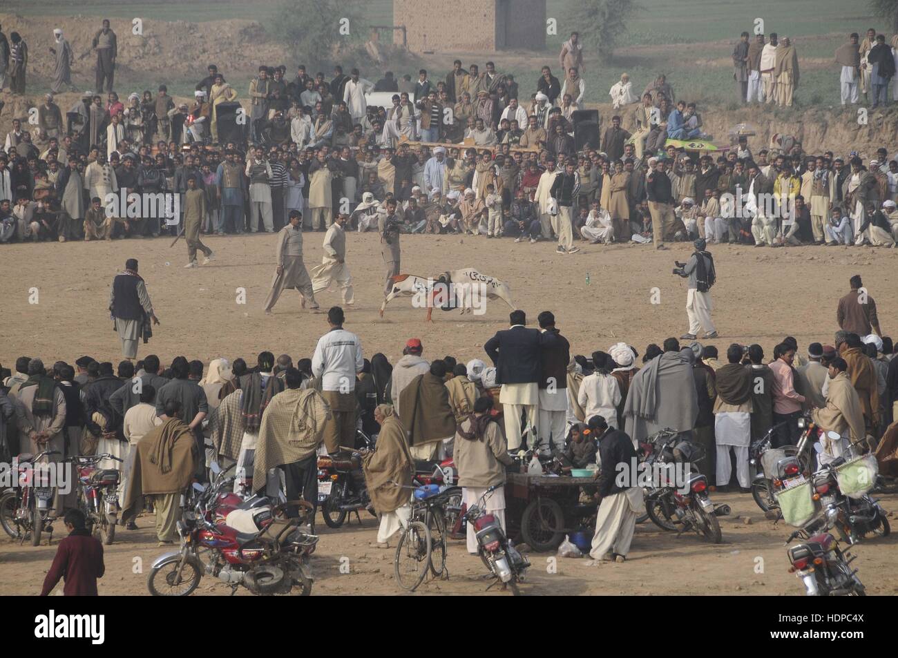 Villagers watch sheep fighting each other to annual sheep fighting festival in. The people and farmers round up their finest fighting sheep and gathered among friends to cheer on the creatures as they violently rammed into each other until their horns fell off. The “Small-Tail Han Sheep” known for their head-butting abilities, battled it out in front of hundreds of onlookers who were able to distinguish the animals by their drawn-on marks. The sheep were then divided according to age and weight in the single-elimination match. (Photo by Zubair Abbasi/Pacific Press) Stock Photo