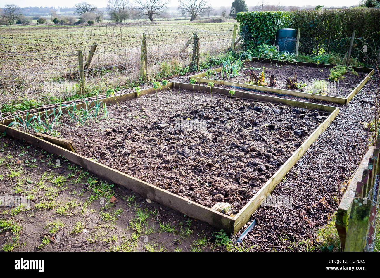 Vegetable beds hires stock photography and images Alamy