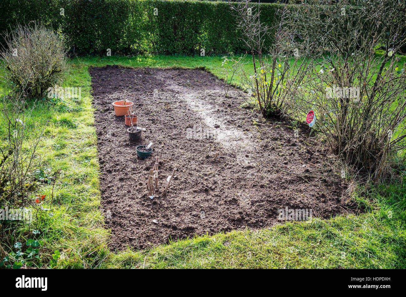 Seasonal maintenance on a new soft-fruit bed in a rural garden Stock Photo