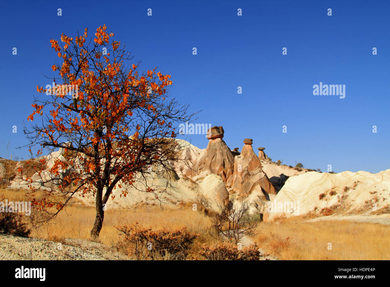 Autumn in Cappadocia Stock Photo