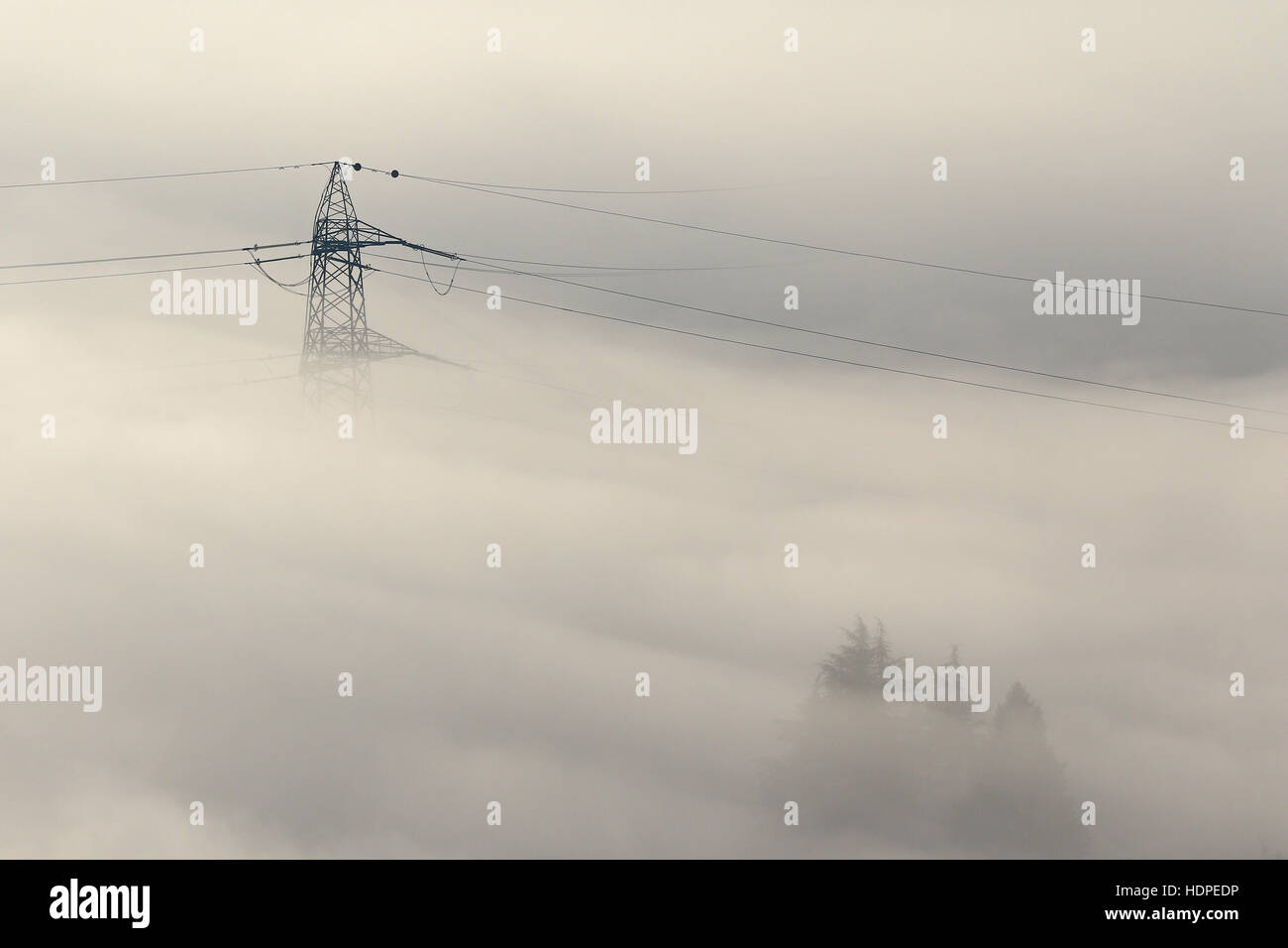 Aerial view of powerlines, pylon and fir trees peeking out of winter fog Stock Photo