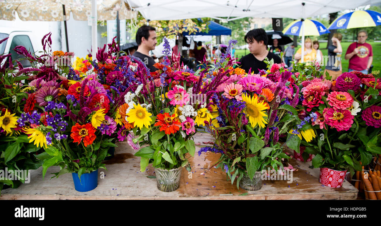 A flower vendor sells a selection of colorful seasonal bouquets at the