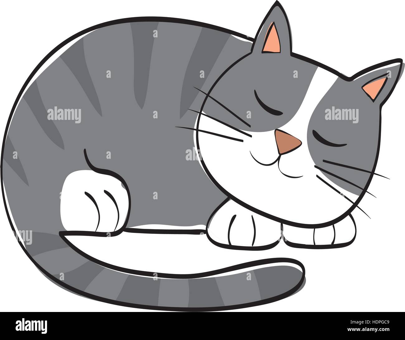 Cute cat cartoon Stock Vector Image & Art - Alamy