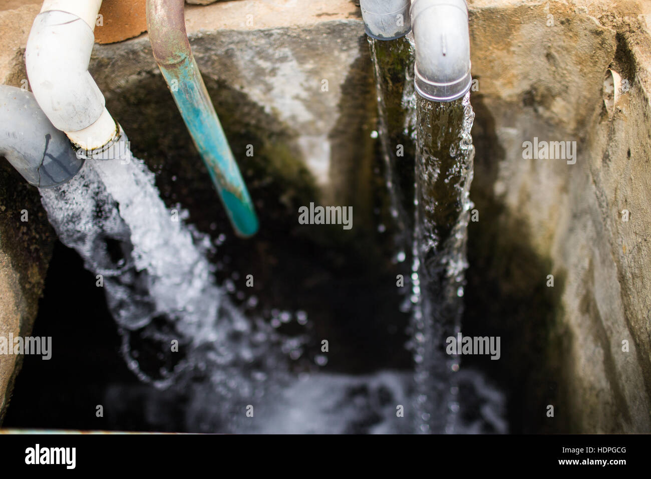 Cotton plant india hires stock photography and images Alamy