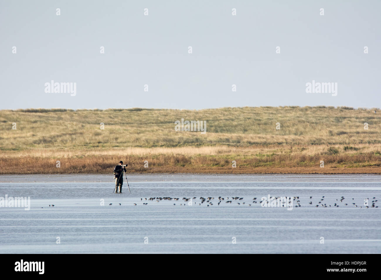 Birdwatcher views winter migrant birds at Tacumshin Lake in Wexford in southern Ireland Stock Photo