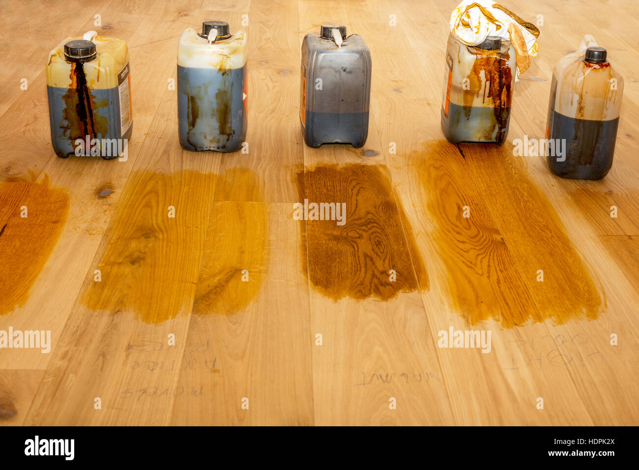 Different shades of woodstain as test patches on an oak wood floor Stock Photo
