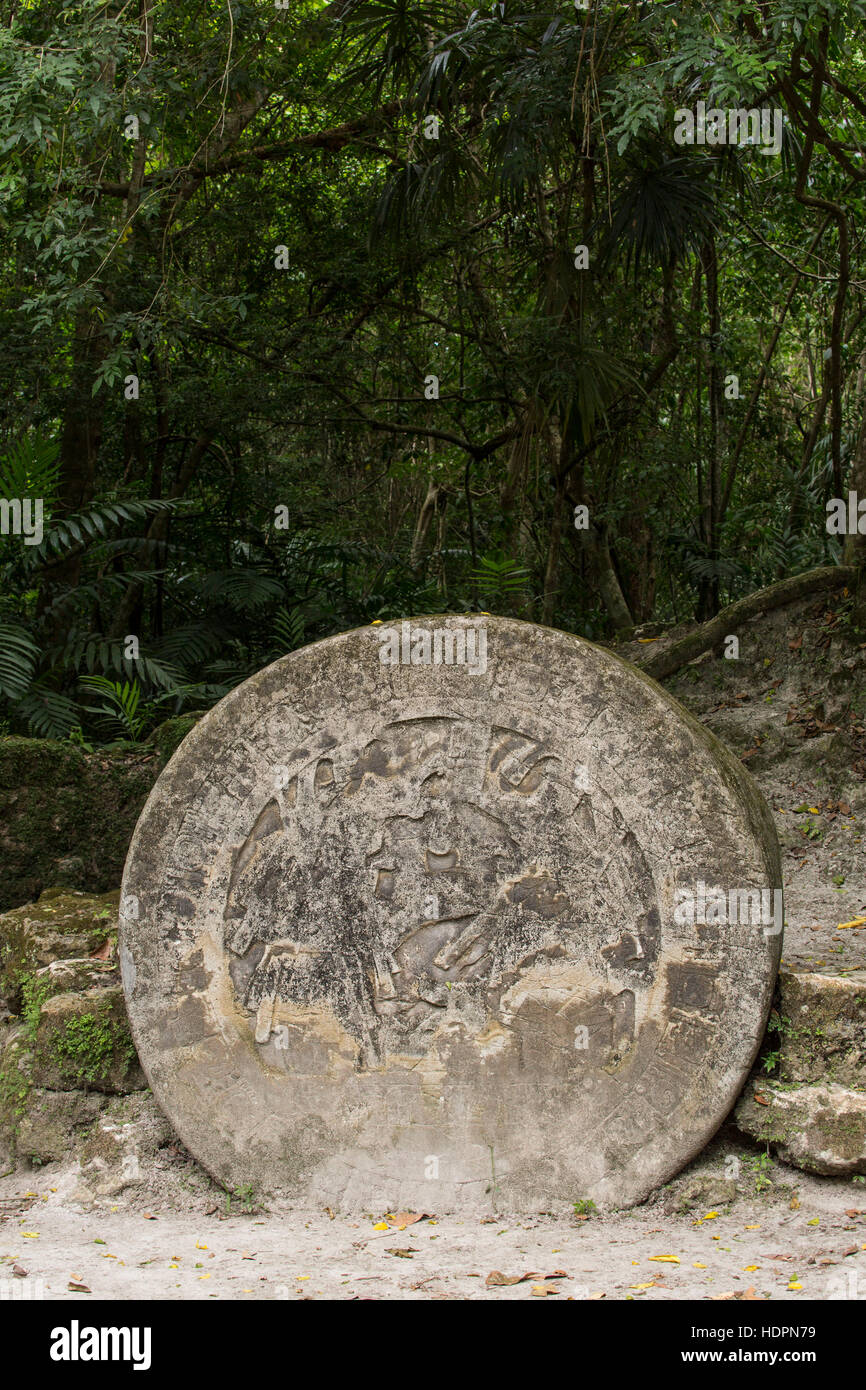 Altar 5 stone carving, circa 711 A.D., shows two men wearing elaborate ritual dress for the celebration of an important ceremony. Tikal National Par Stock Photo