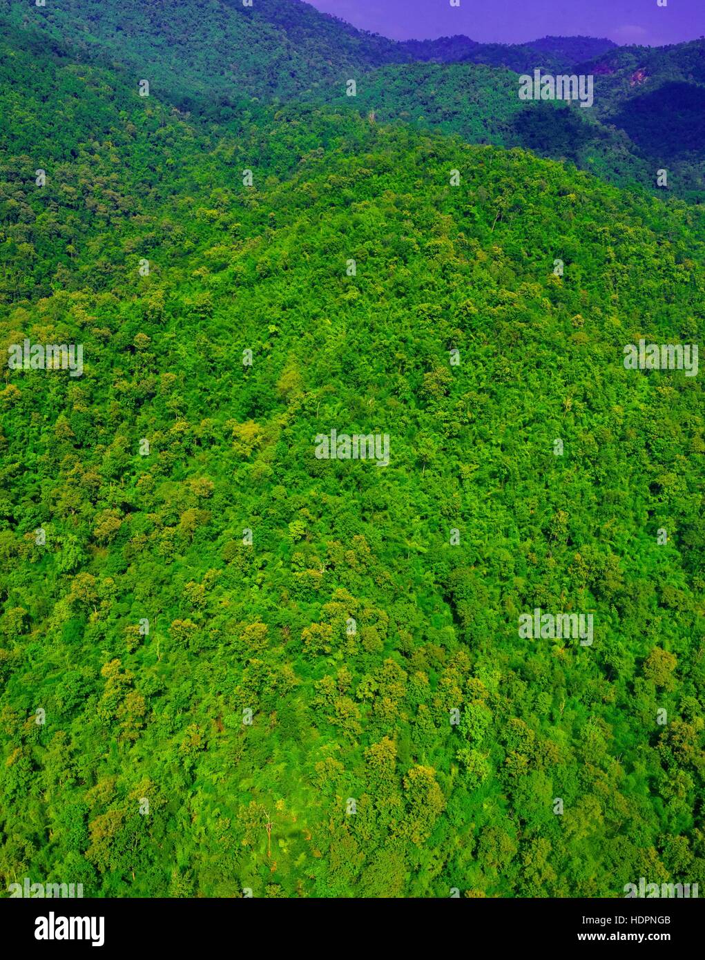aerial view of the forest Stock Photo - Alamy