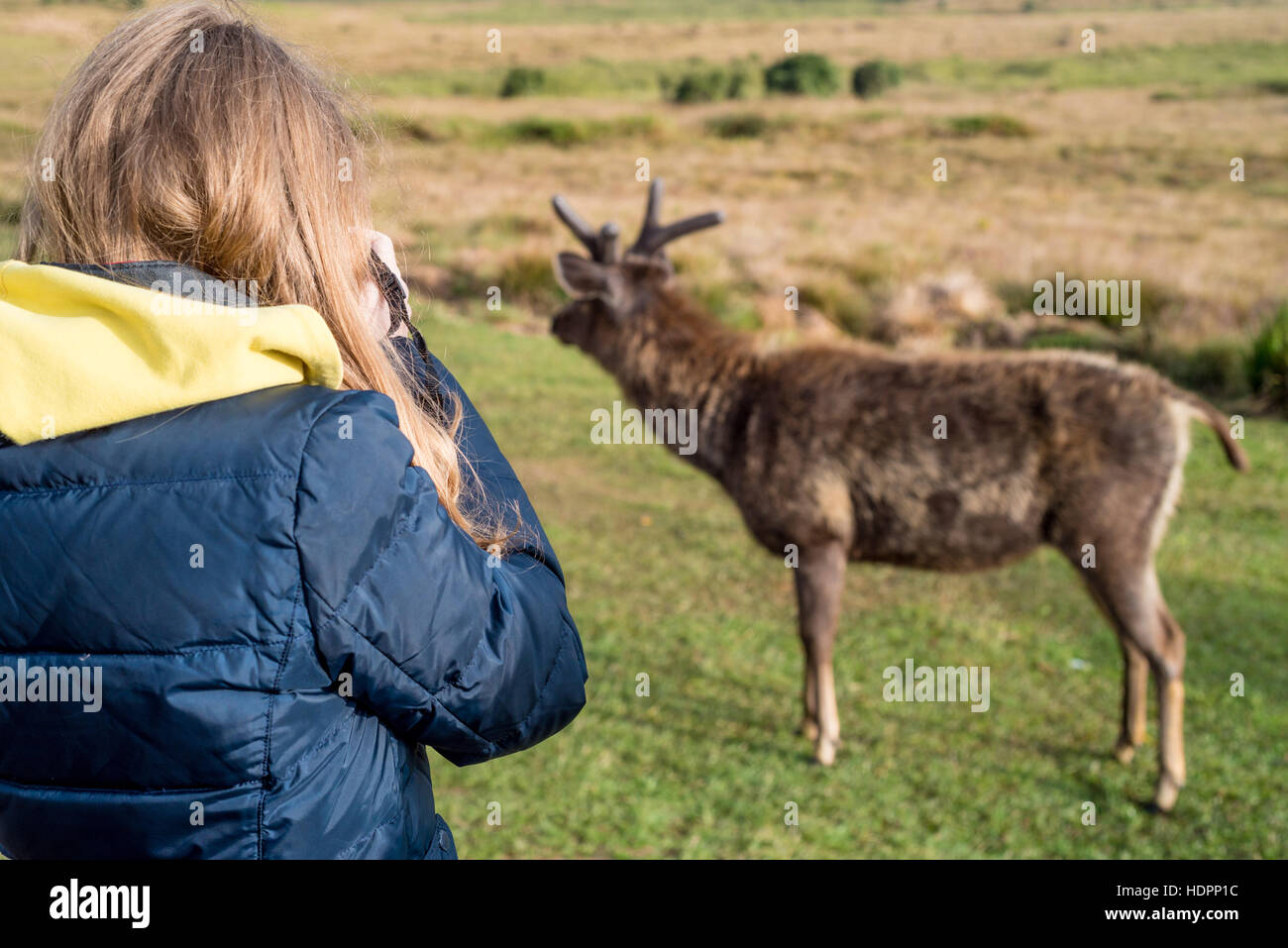 Female Wildlife Photographer High Resolution Stock Photography and ...
