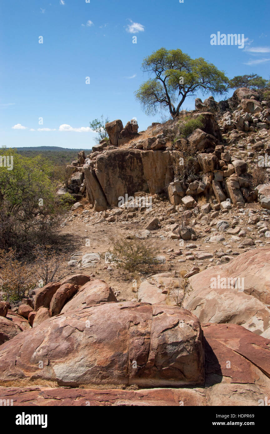 Wilderness with tree and rocks in the territory of the Hadzabe tribe, Lake Eyasi, Tanzania Stock Photo