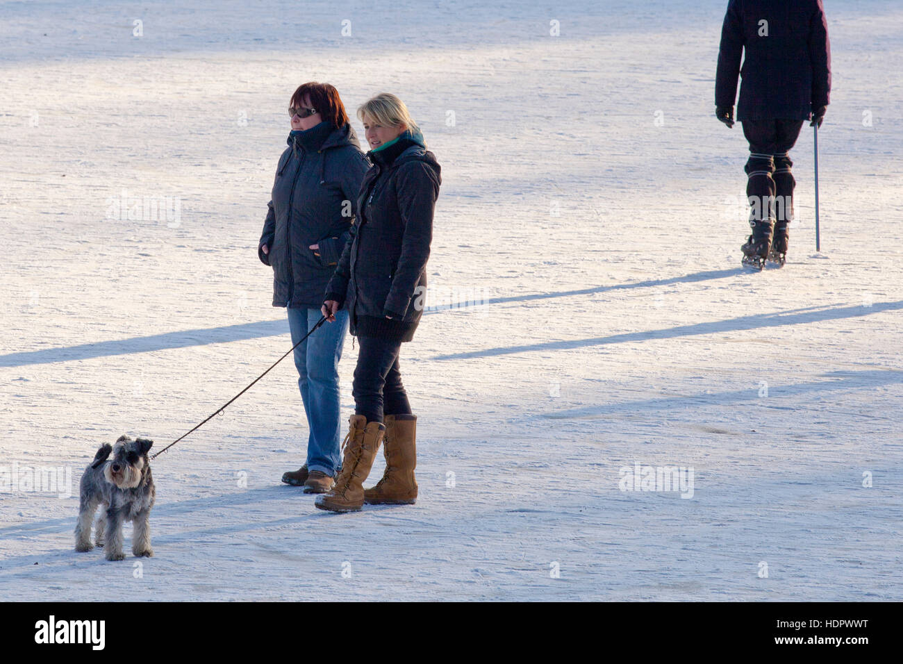 Women with a dog hi-res stock photography and images - Alamy