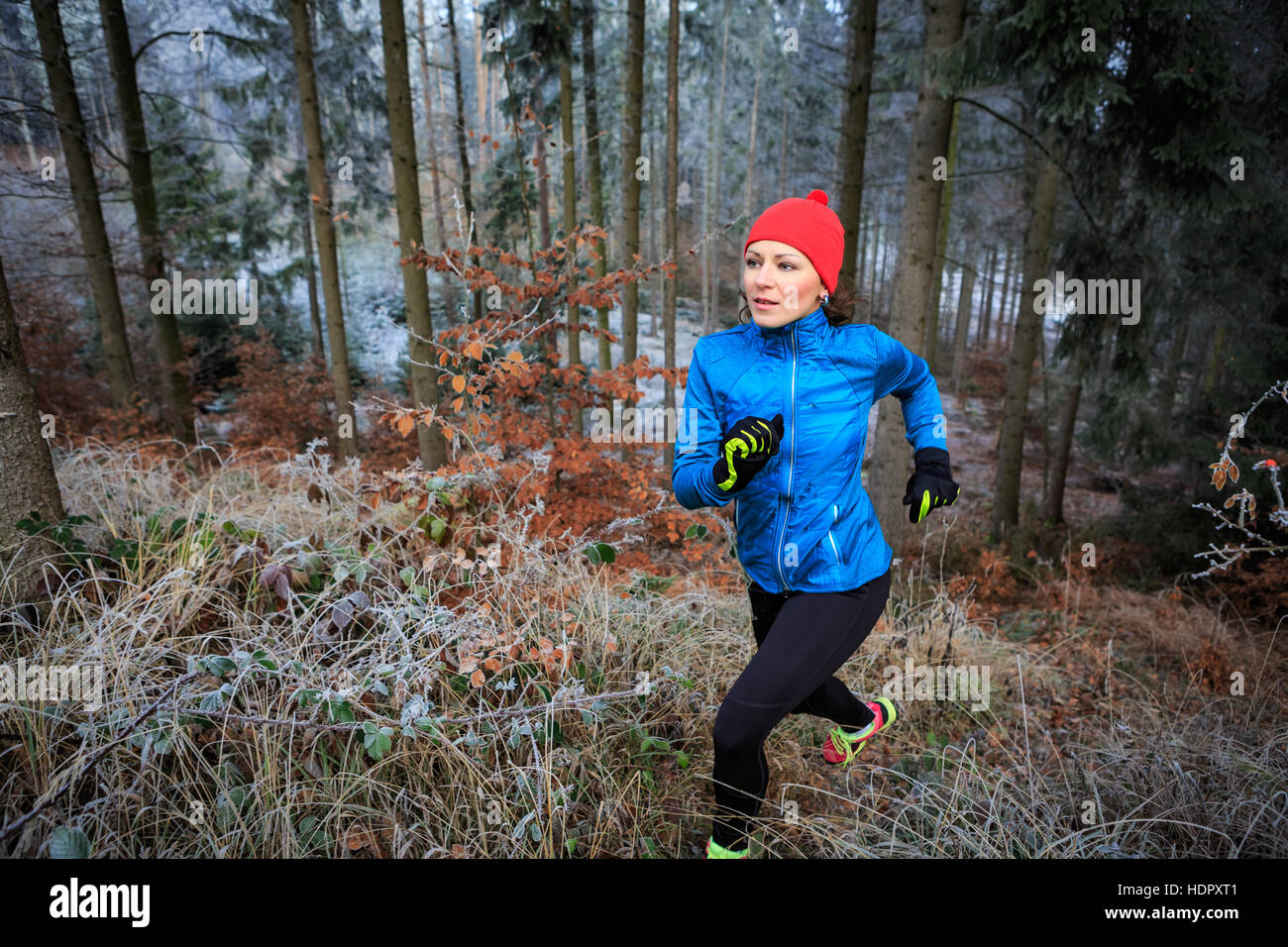 a young woman jogging in the wintry forest Stock Photo