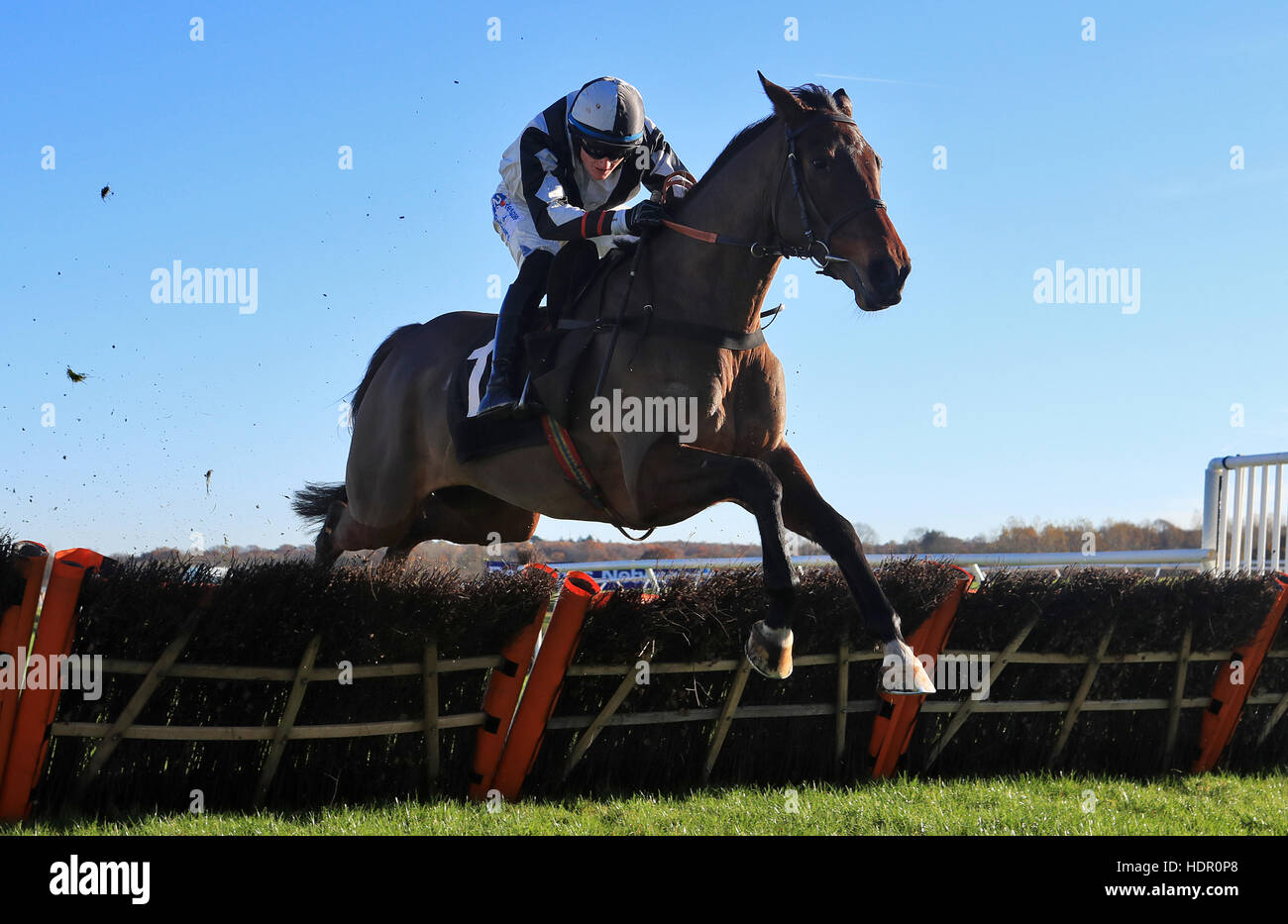 Militarian ridden by jockey Mikey Hamill during the bet365 'National Hunt' Maiden Hurdle Stock Photo