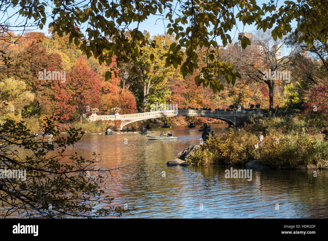 The Lake with Bow Bridge in Central Park, NYC Stock Photo - Alamy