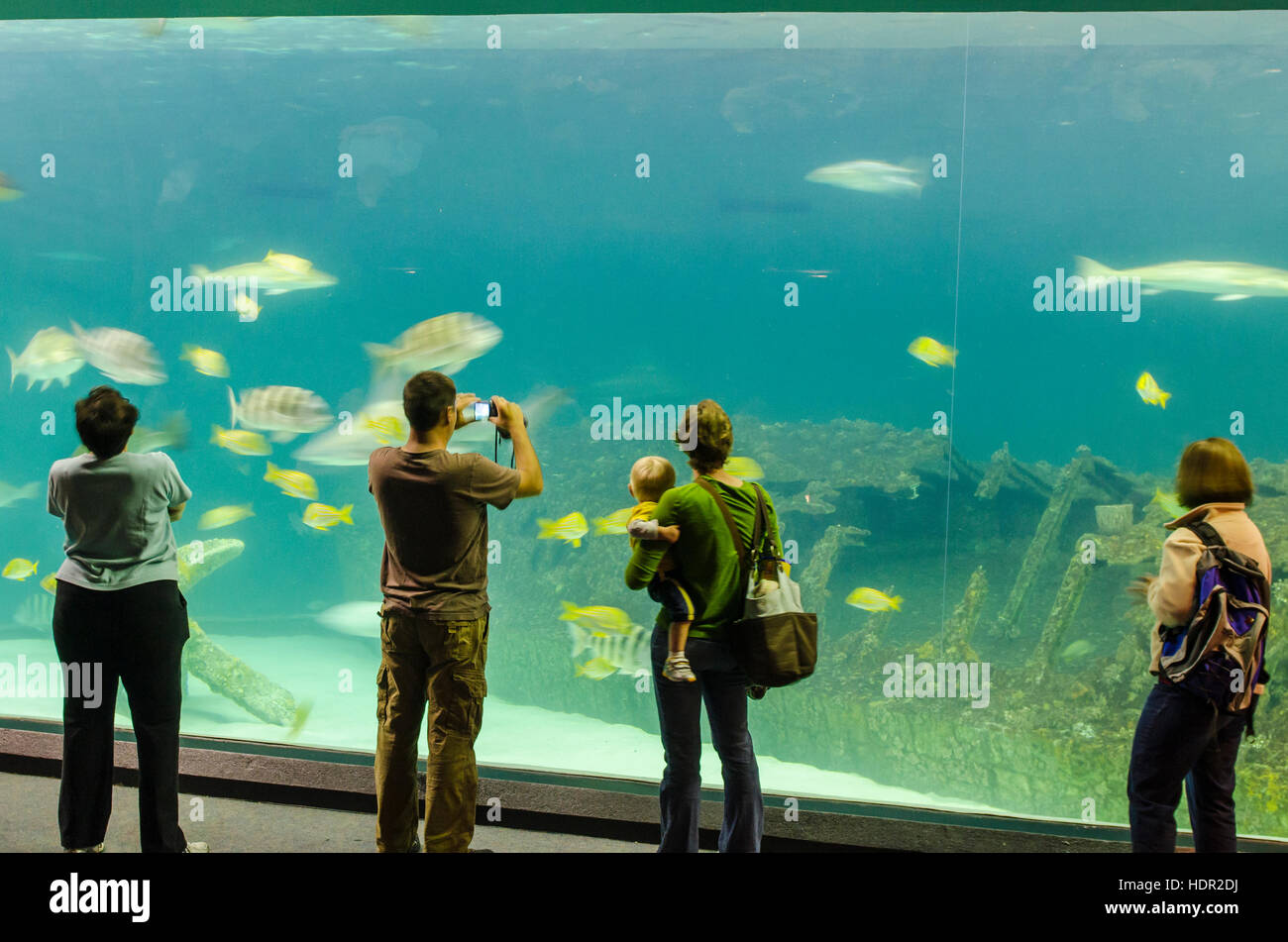 People watching the fish at the North Carolina Aquarium, Manteo