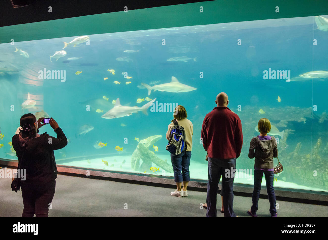 Manteo roanoke hires stock photography and images Alamy