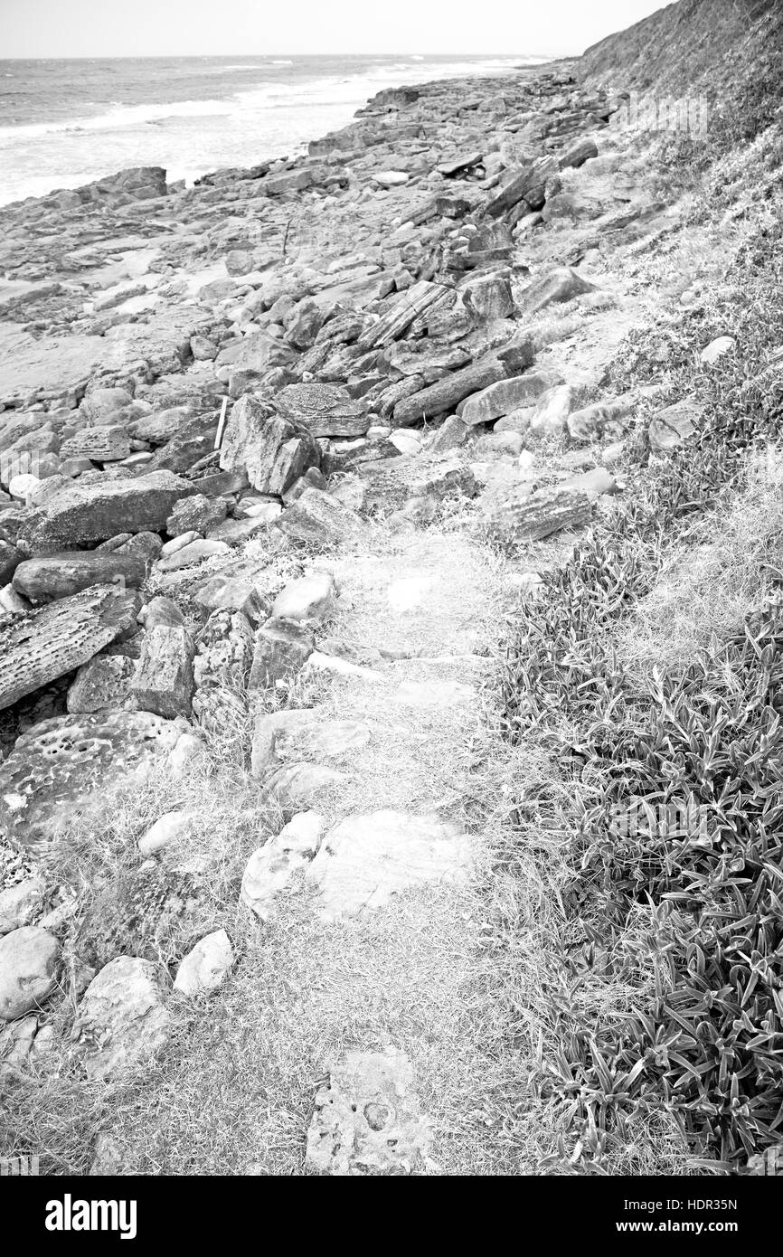 blur in south africa   sky ocean  isimagaliso reserve nature and rocks Stock Photo