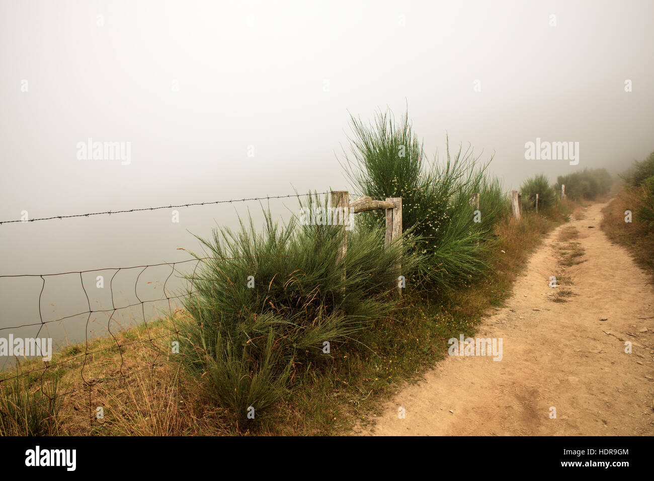 View of galicia path along the way of st james stock photo alamy
