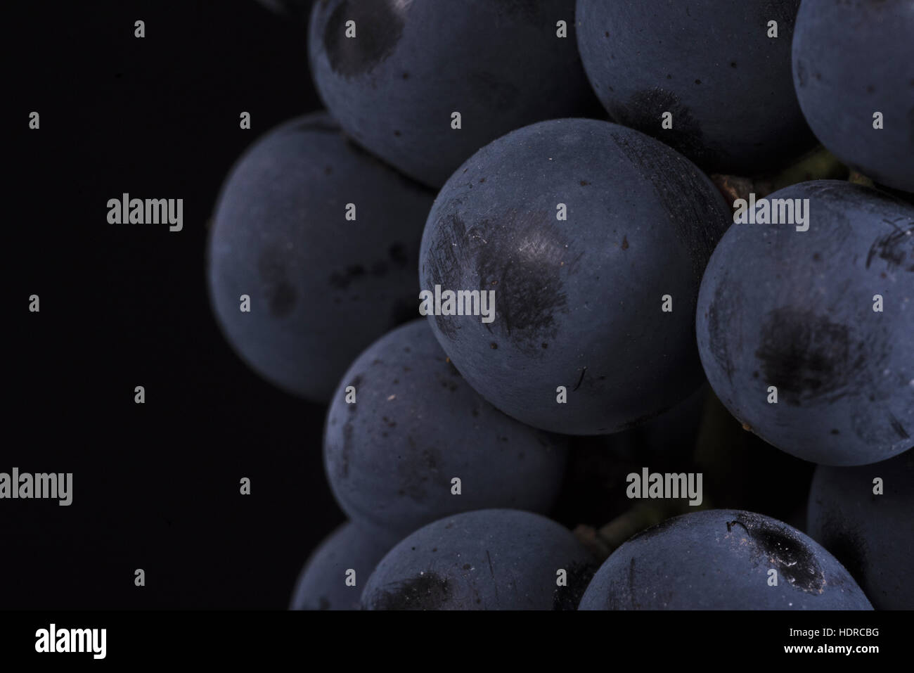 Closeup, grape berry on black background Stock Photo