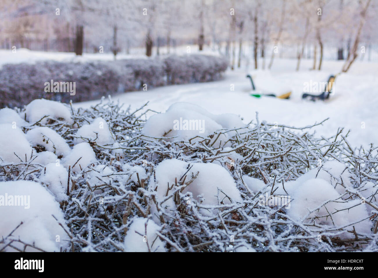 Blurred outdoor scene benches hi-res stock photography and images - Alamy