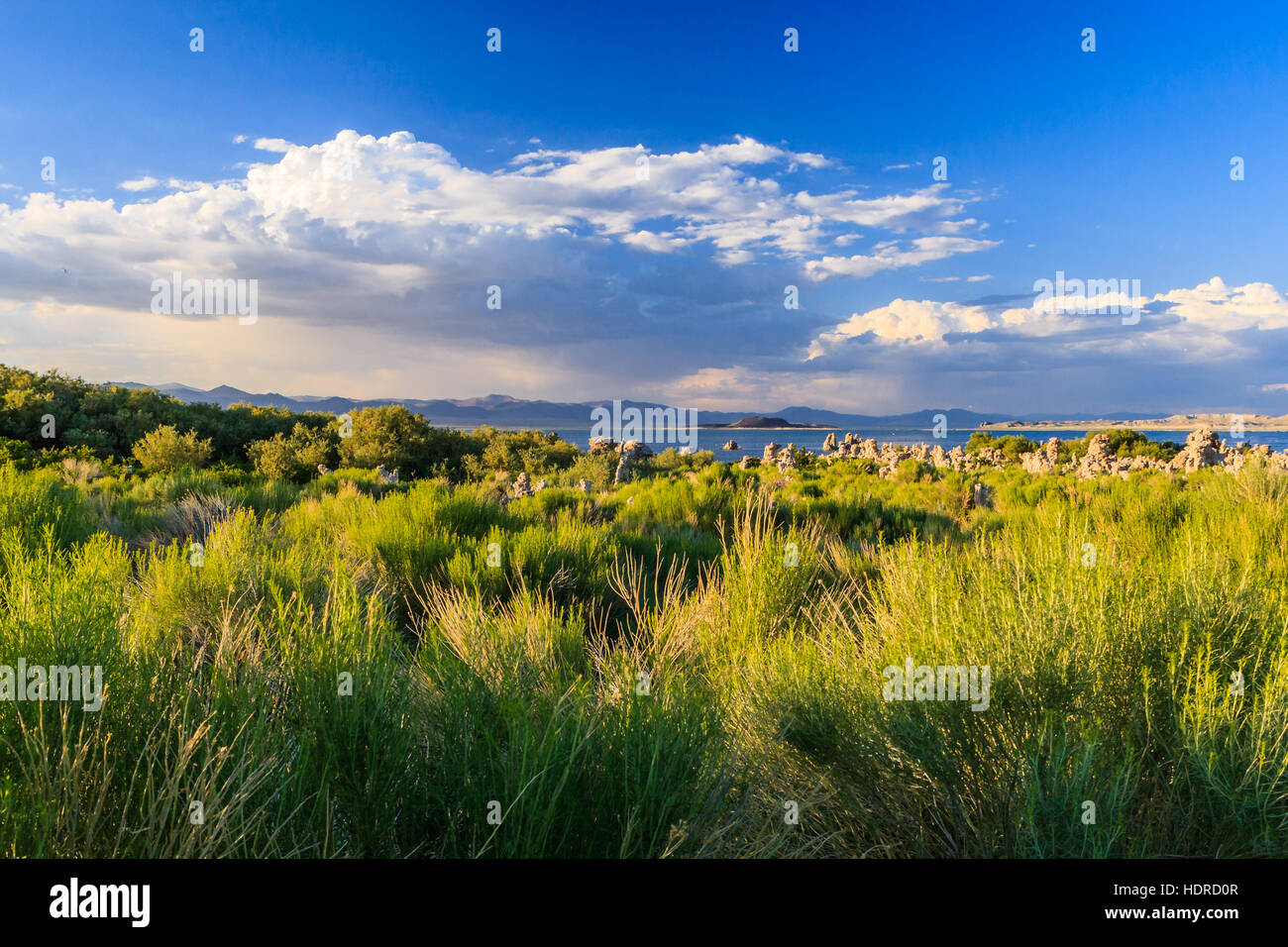 Mono Lake is a large, shallow saline soda lake in Mono County, California, formed at least 760,000 years ago as a terminal lake in an endorheic basin. Stock Photo