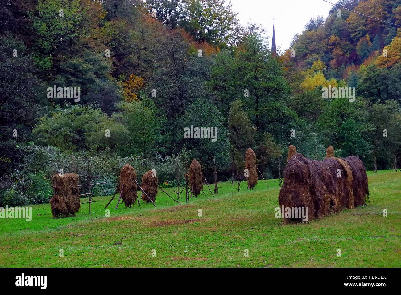 Rick rack hi-res stock photography and images - Alamy