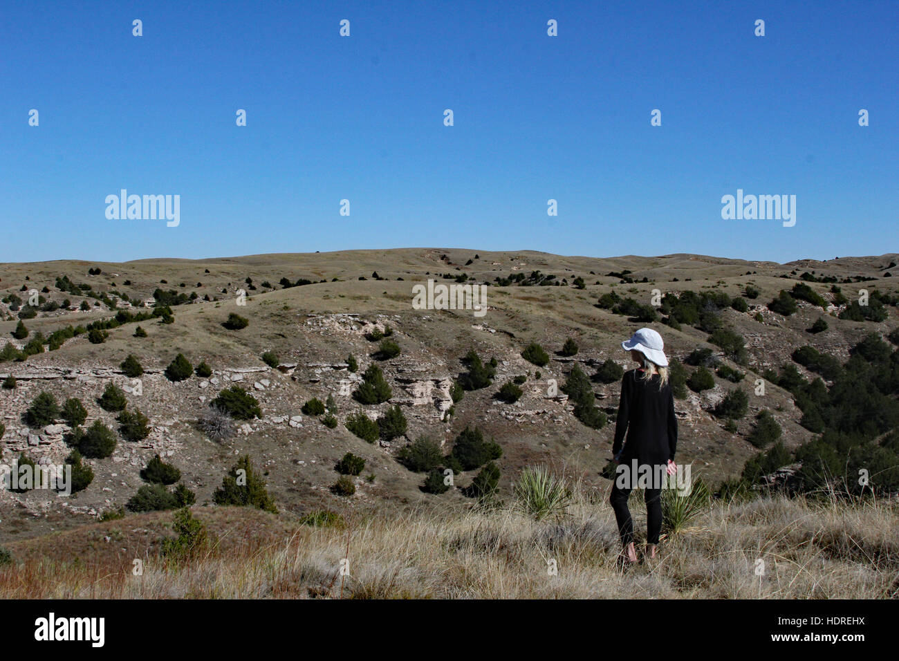 Contemplating Windlass Hill and the ruts left by pioneer wagons on the