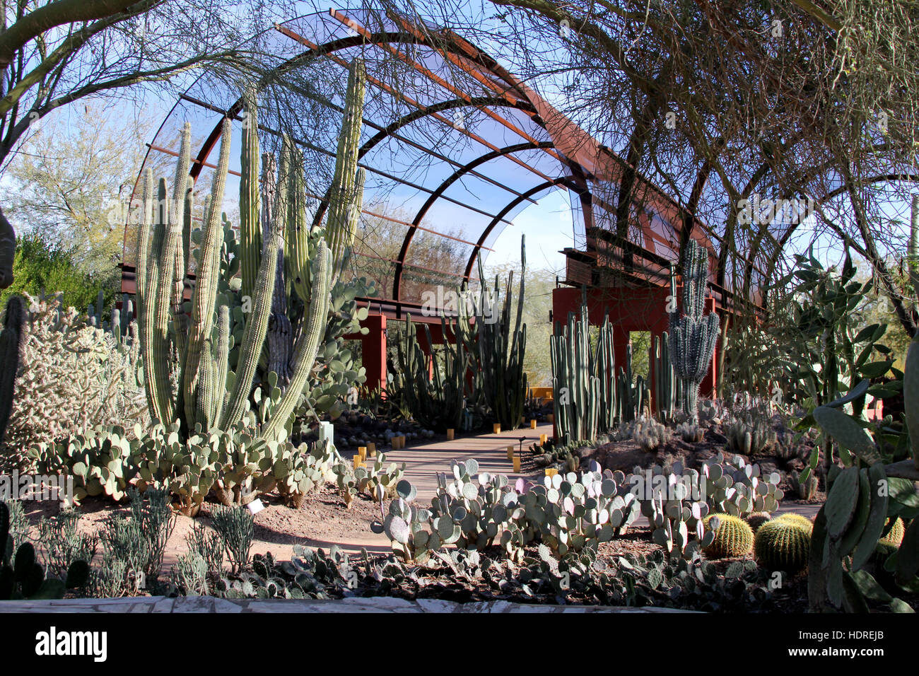 Desert Botanical Garden portal entrance, Phoenix, Arizona with varied cacti and desert plants. Stock Photo