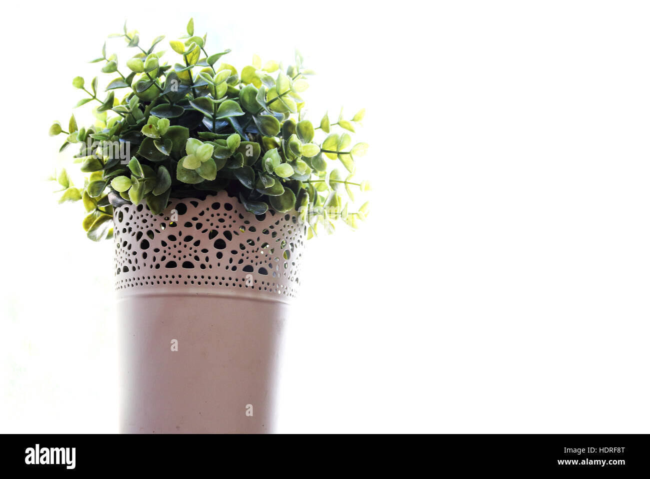 Artificial pot plant isolated against white background Stock Photo Alamy