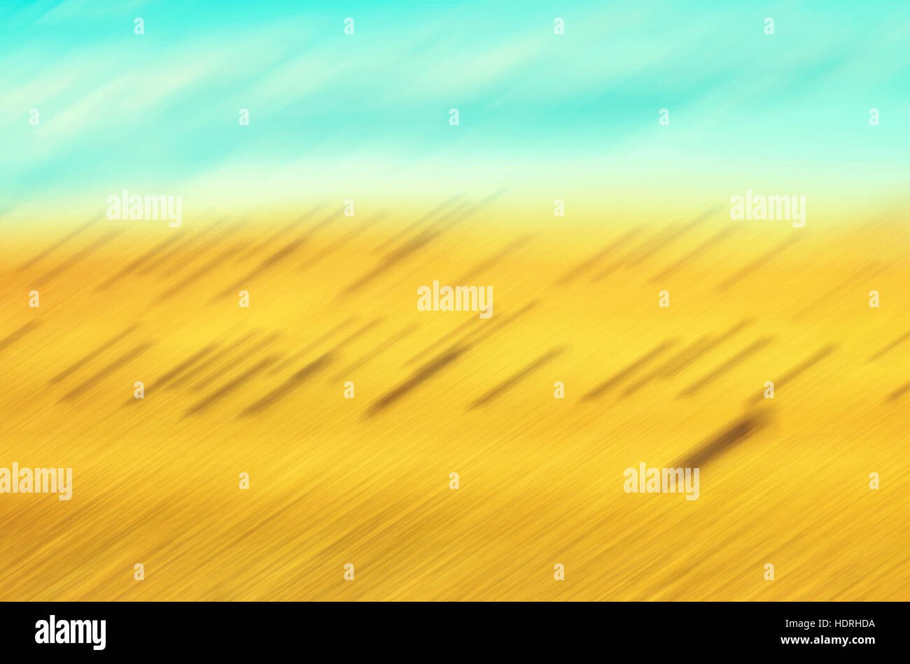 Motion blurred meadow, abstract nature background or wallpaper. Stock Photo