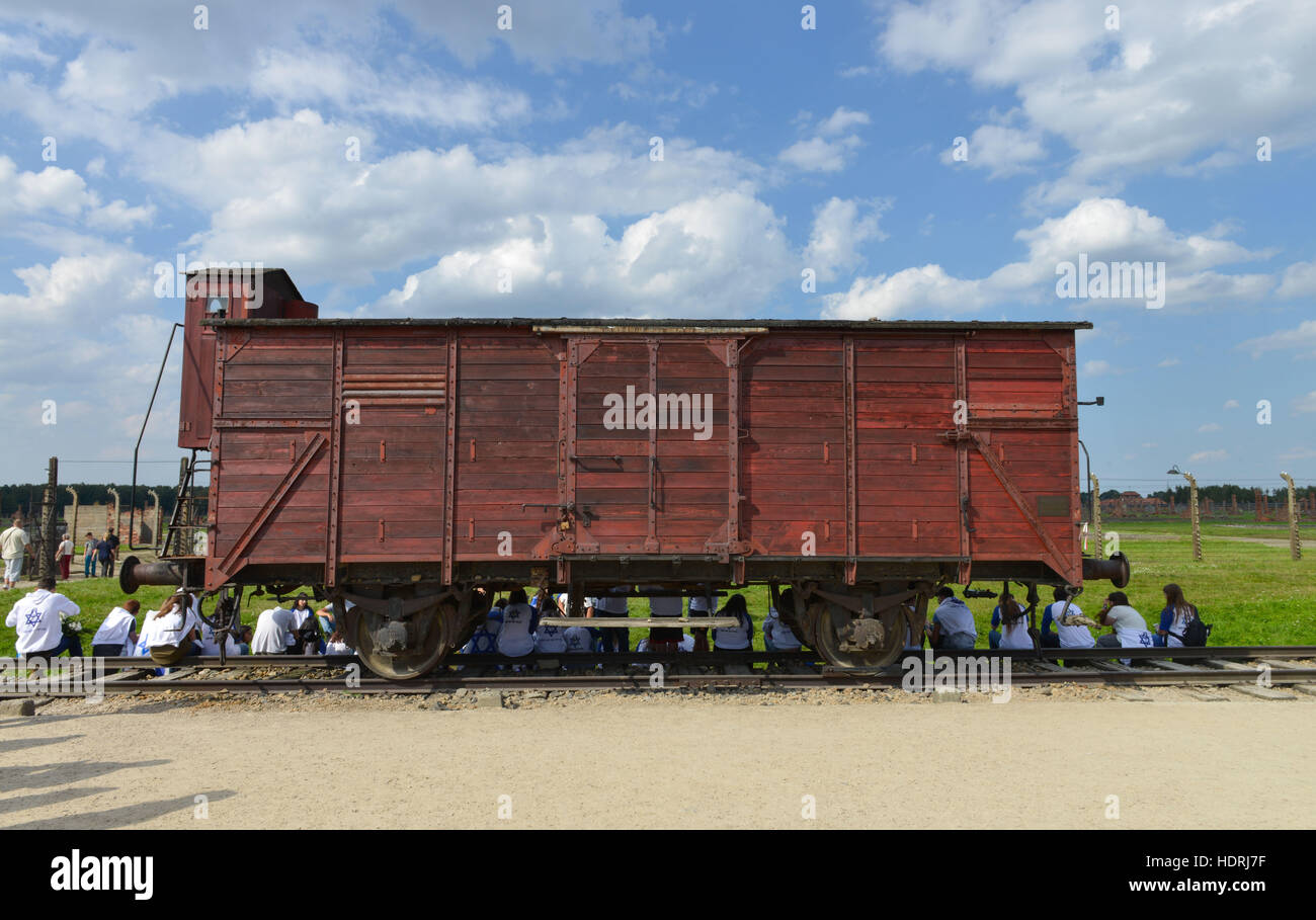 Bahnwaggon, Konzentrationslager, Auschwitz-Birkenau, Auschwitz, Polen Stock Photo