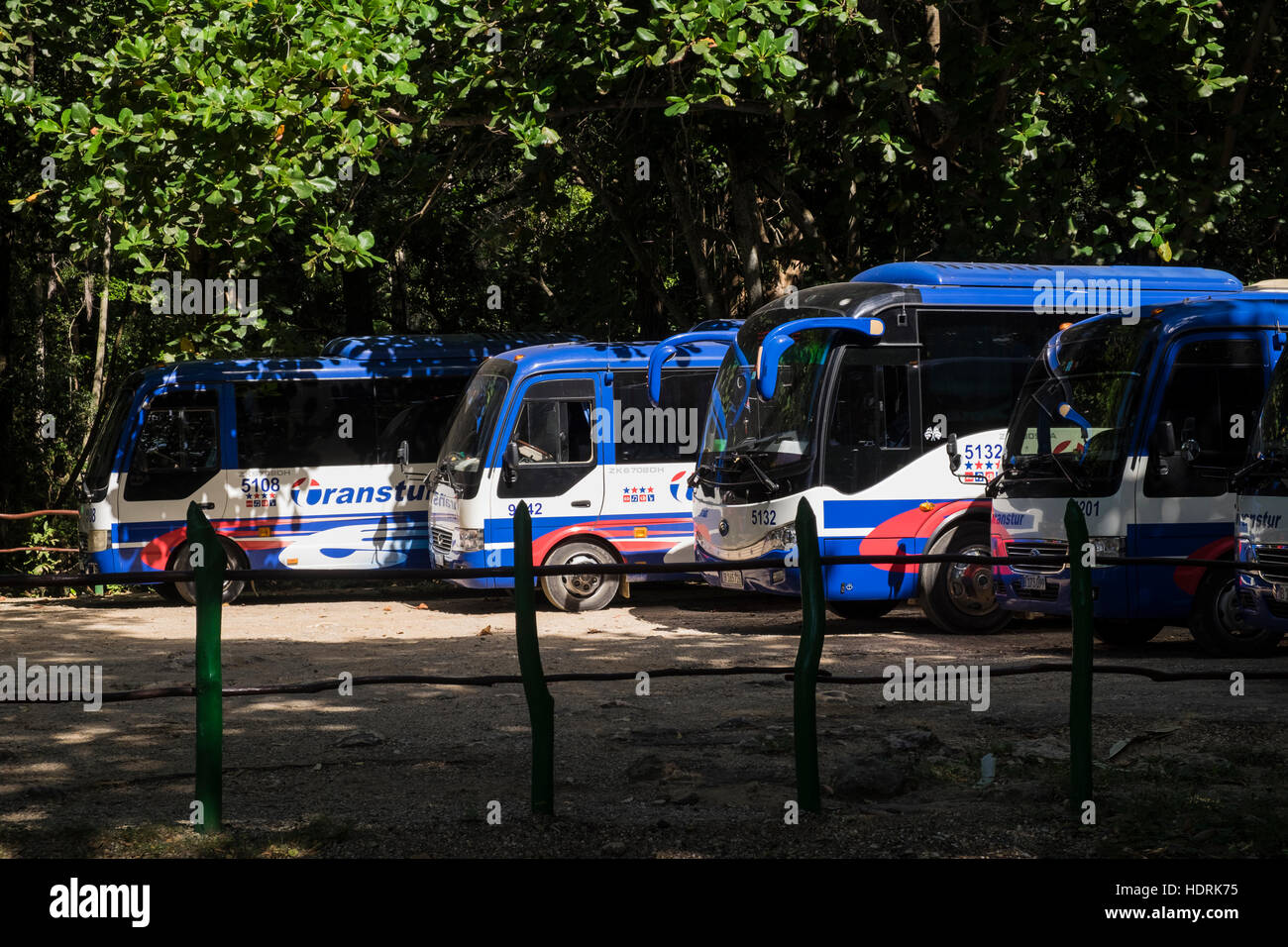 Transtour Cuban government owned company tourist coaches parked in a car park, Trinidad, Cuba Stock Photo
