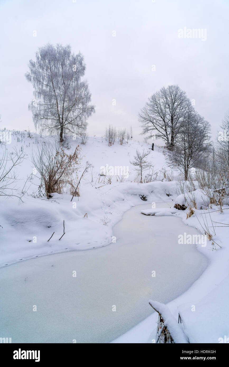 Winter landscape with frozen river and snow covered trees Stock Photo ...