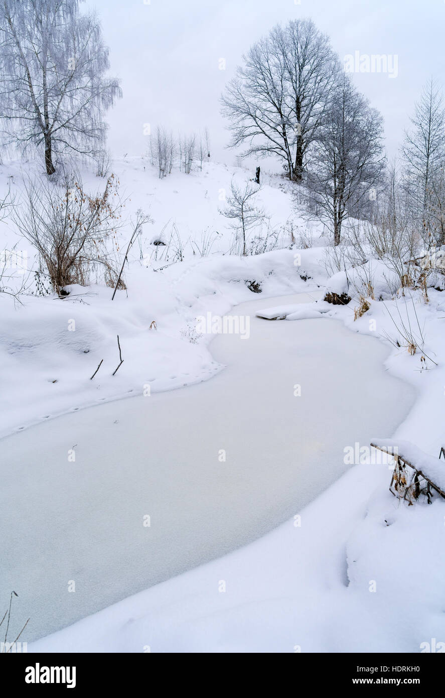 Winter landscape with frozen river and snow covered trees Stock Photo ...