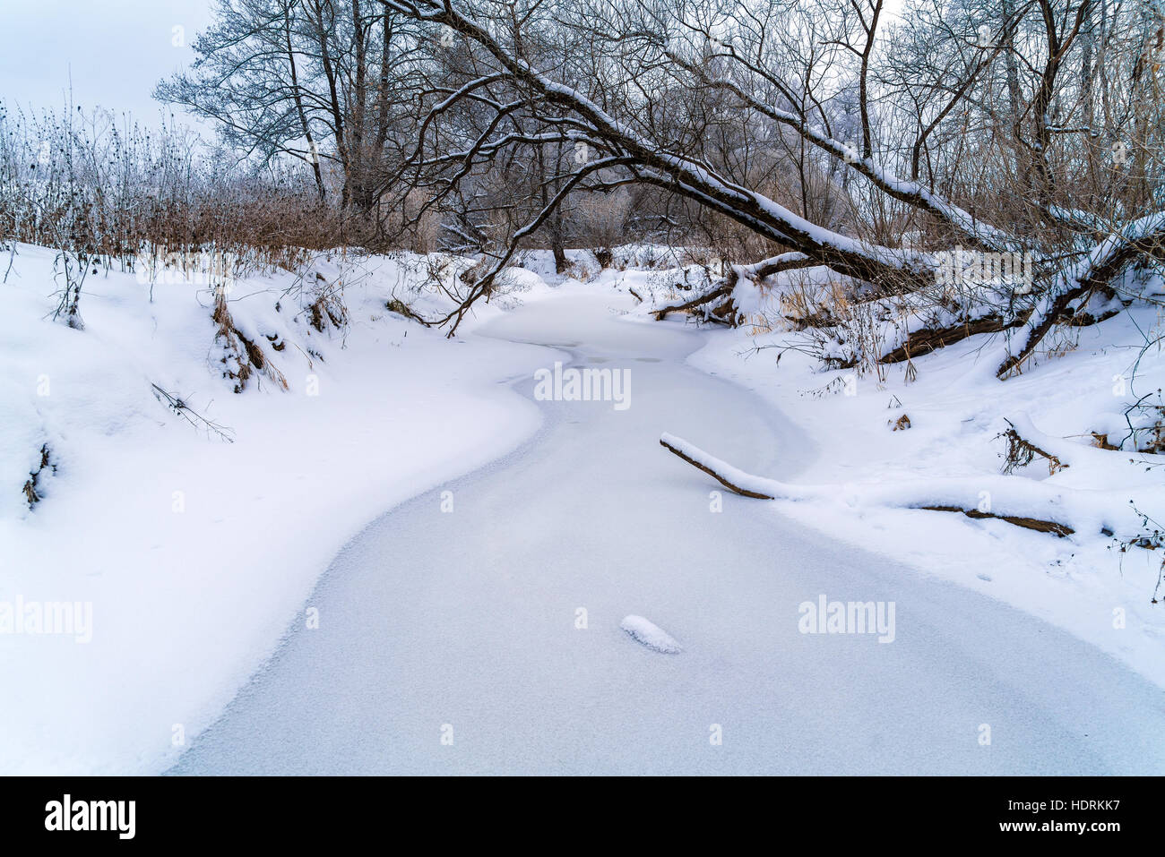 Winter landscape river trees hi-res stock photography and images - Alamy