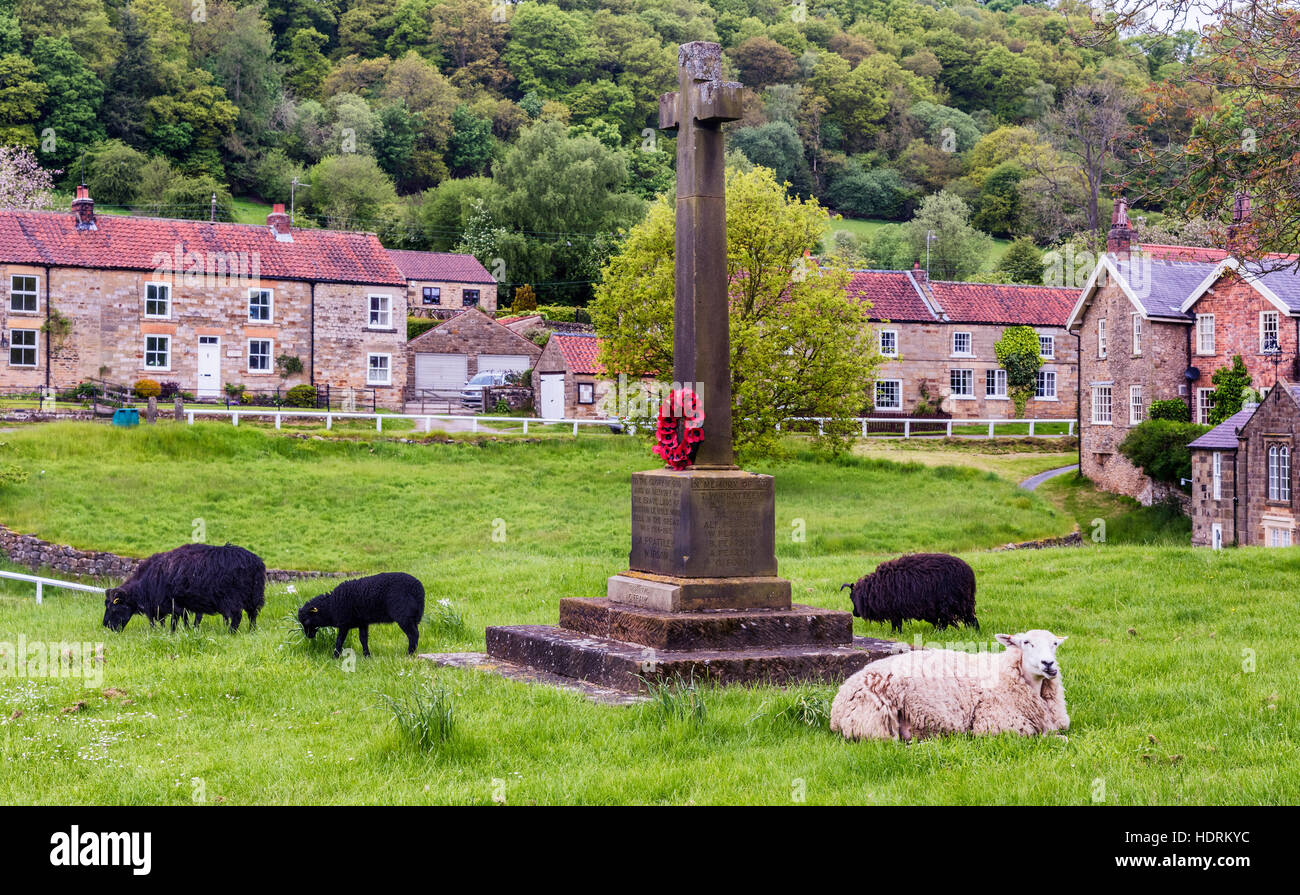 sheep-hole-hi-res-stock-photography-and-images-alamy