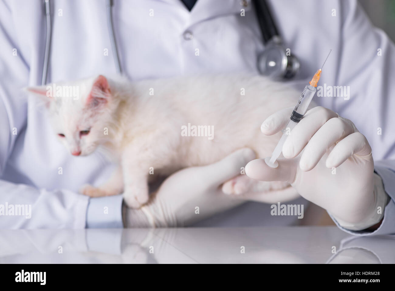 Какие прививки необходимо для кошек. Бешенство вакцинация схема. Схема вакцинации от бешенства для человека профилактика. Вакцина против бешенства схема. Когда делают прививку от бешенства.