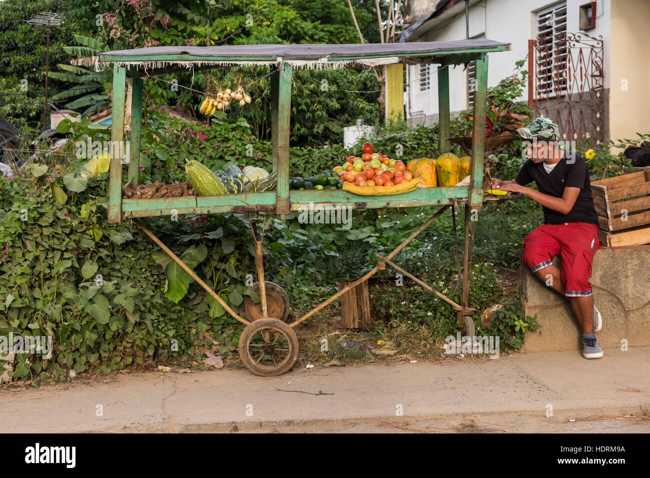 Vegetable stall at the roadside in Vinales, Cuba Stock Photo