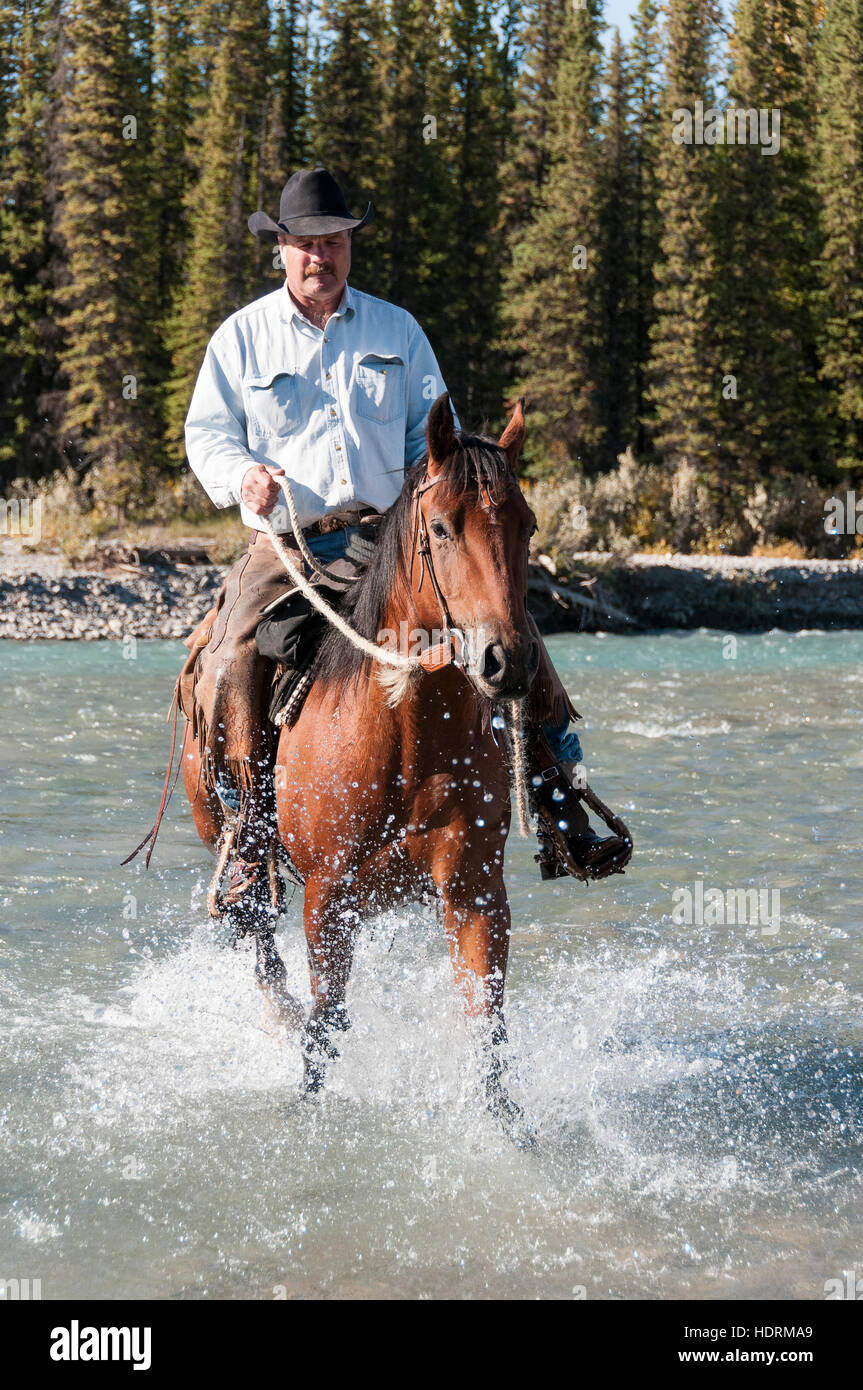 Cowboy and horse crossing river, Clearwater county; Alberta, Canada