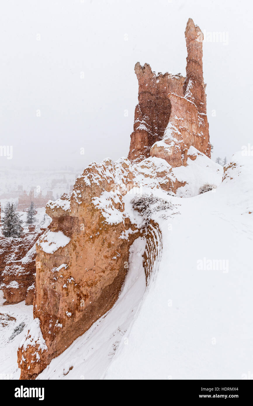 Heavy snow fall on hoodoo formation at Bryce Canyon National Park in