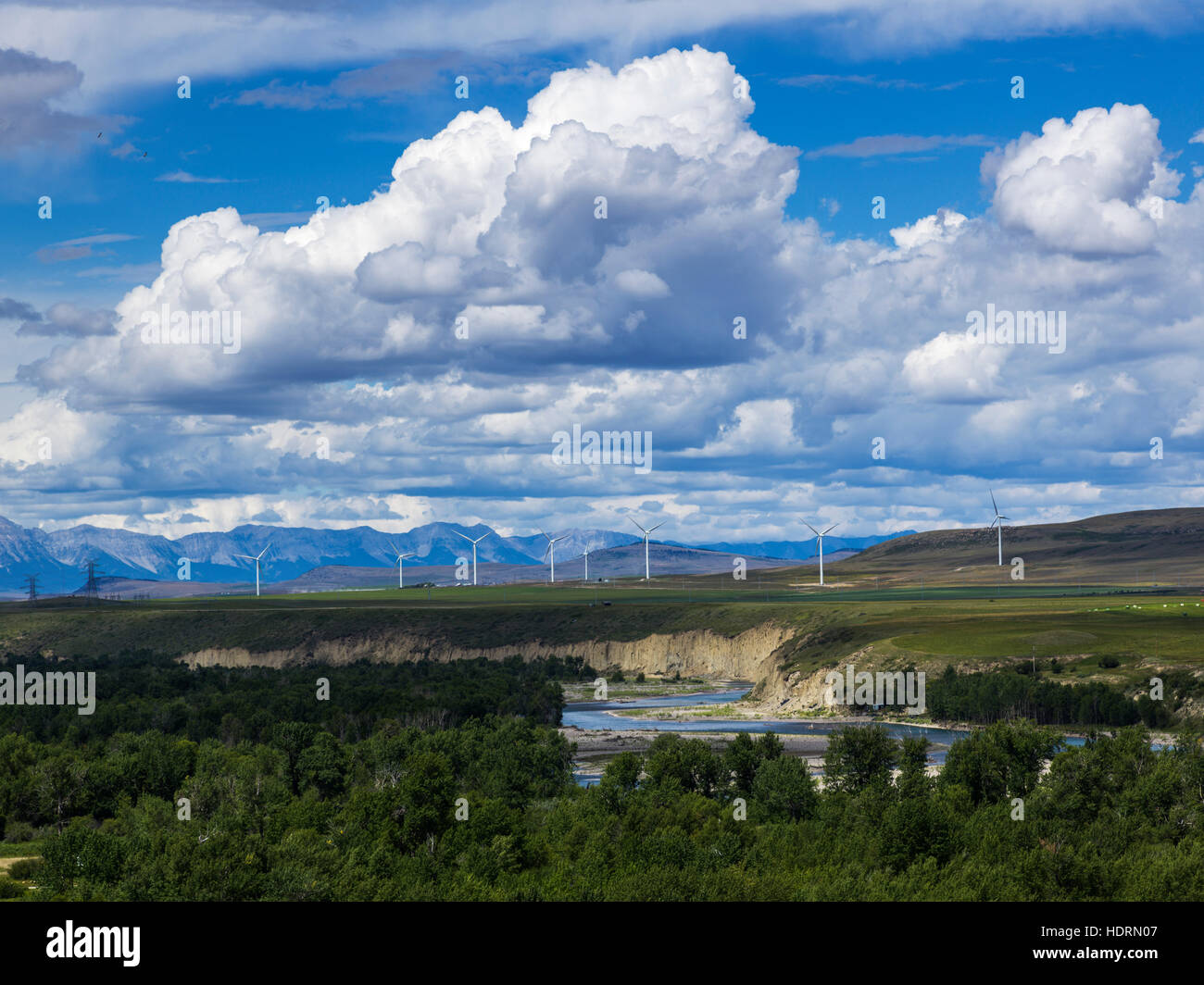 Wind turbines in a field with the Canadian Rockies in the distance