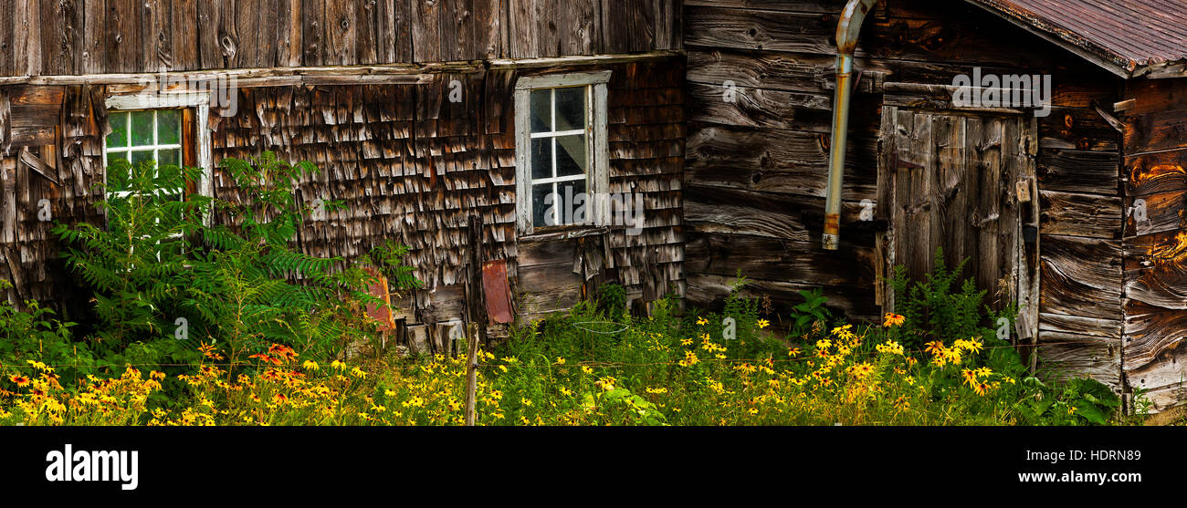 Old barn with colourful wildflowers; Knowlton, Quebec, Canada Stock