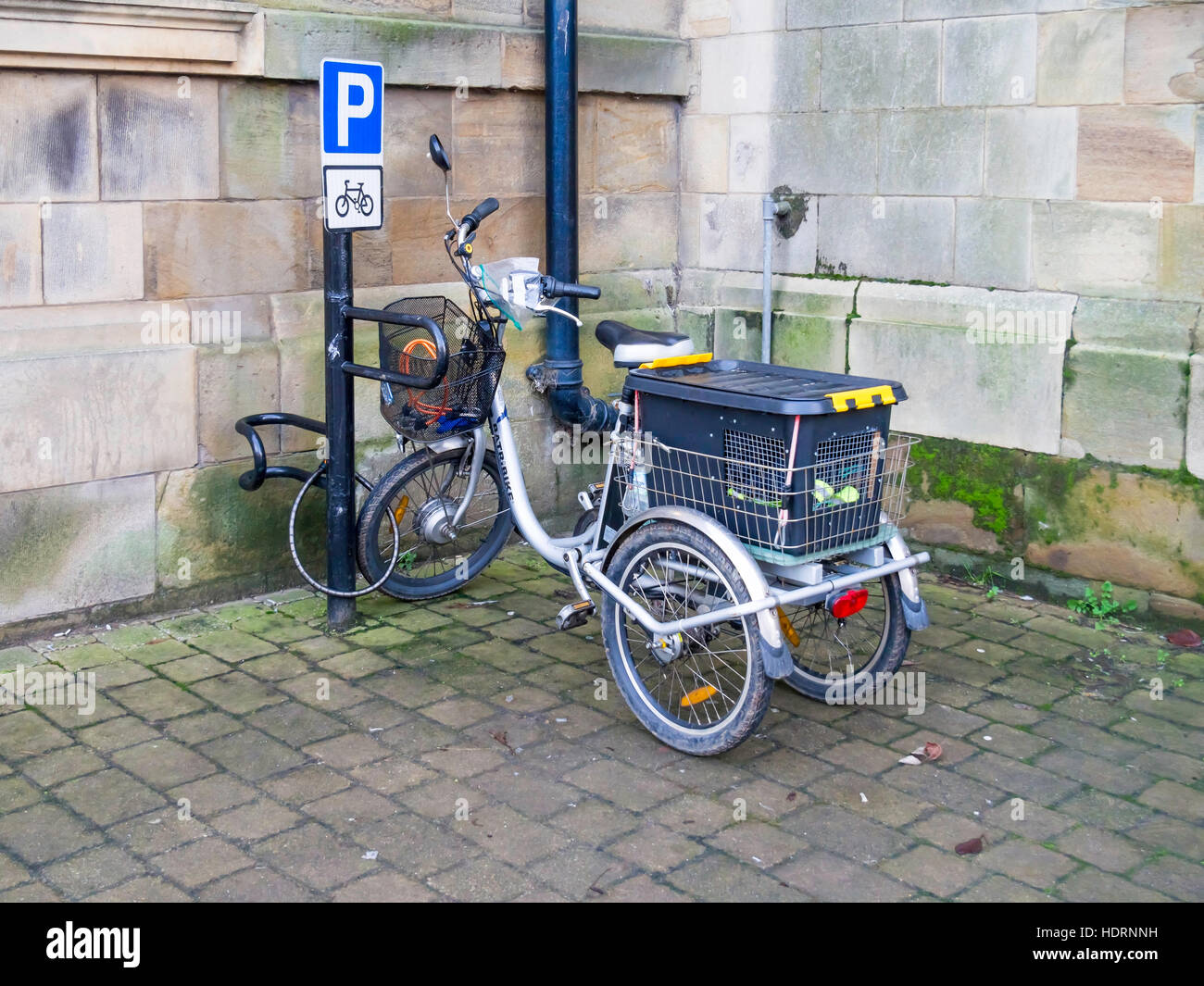 Batribike electric power assisted adult tricycle fitted with a pet carrier box Stock Photo