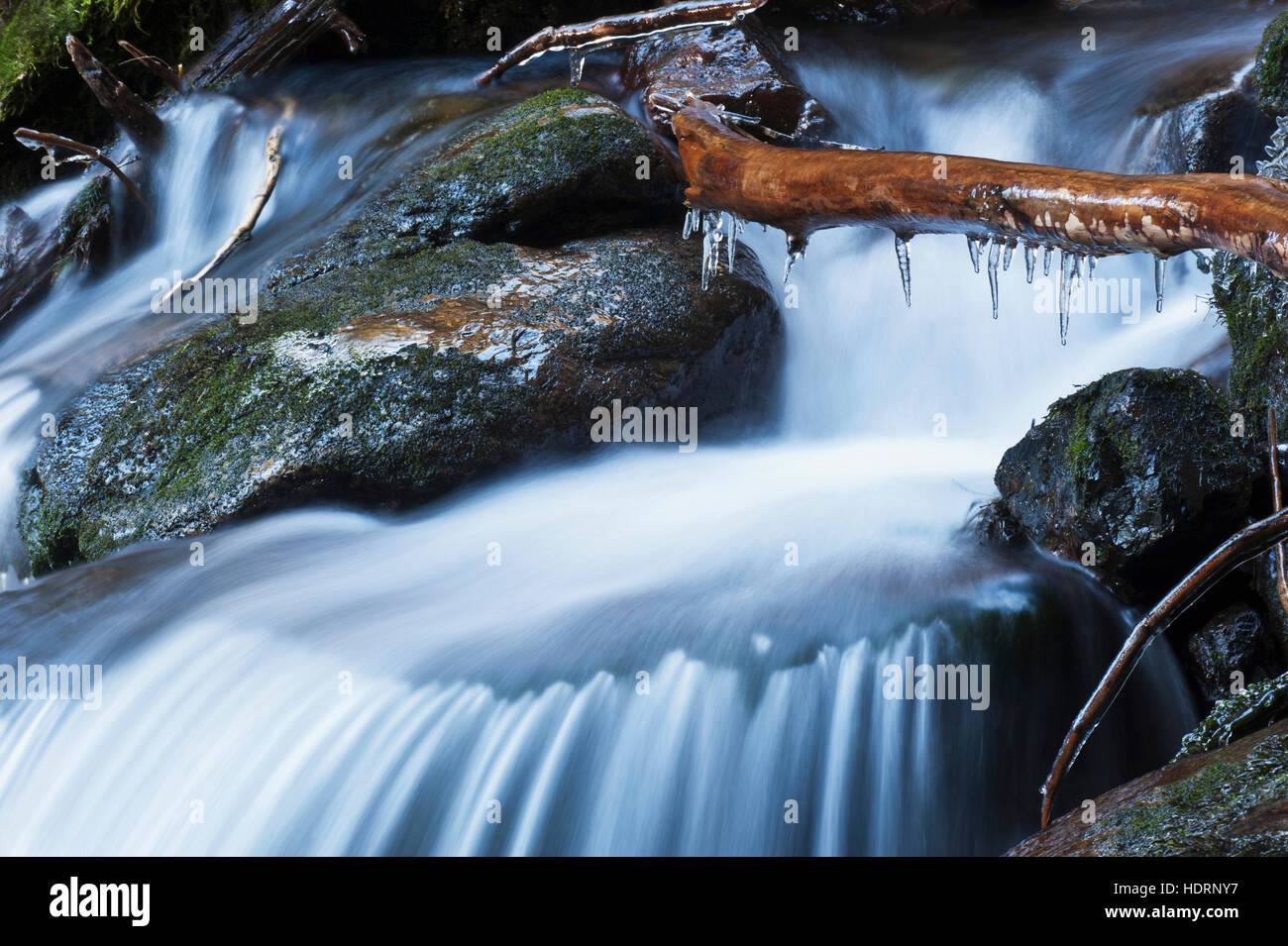Waterfall with ice in the rainforest along the Herring Cove trail, near